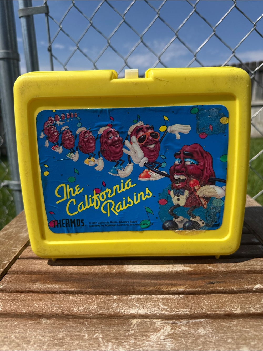 The California Raisins Vintage Lunchbox